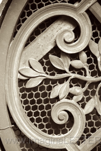 Wall_Art_Alphabet_Photography_Art_ 378.jpg